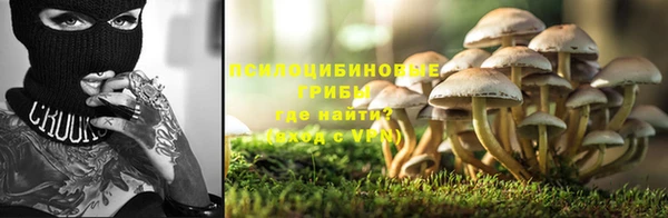 спайс Дмитриев