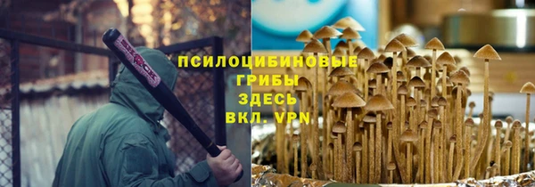 МДМА Дмитровск